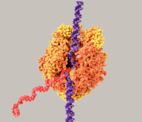 Polynucleotide Injections: The Next Gen of Skin Rejuvenation