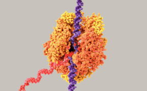 Polynucleotide Injections: The Next Gen of Skin Rejuvenation